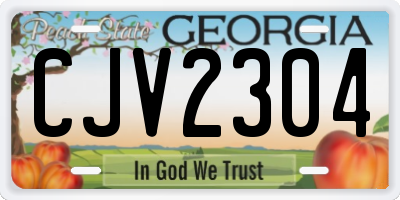GA license plate CJV2304