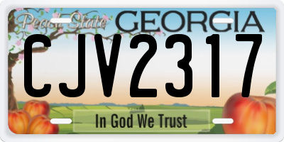 GA license plate CJV2317