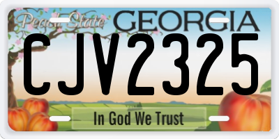 GA license plate CJV2325