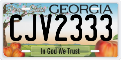 GA license plate CJV2333