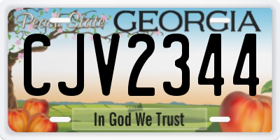 GA license plate CJV2344