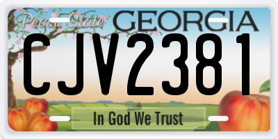 GA license plate CJV2381