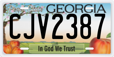 GA license plate CJV2387