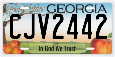 GA license plate CJV2442