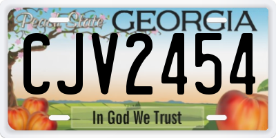 GA license plate CJV2454
