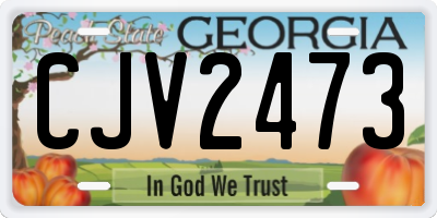 GA license plate CJV2473