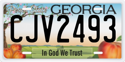 GA license plate CJV2493