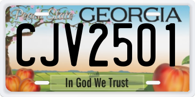 GA license plate CJV2501