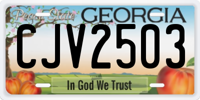 GA license plate CJV2503
