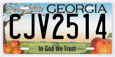 GA license plate CJV2514