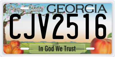 GA license plate CJV2516