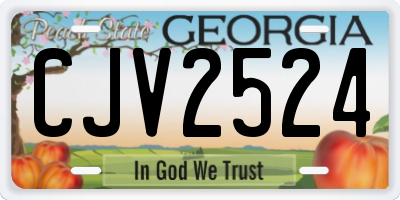 GA license plate CJV2524