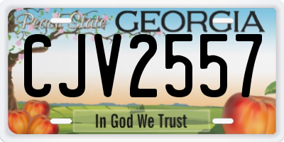GA license plate CJV2557
