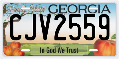 GA license plate CJV2559