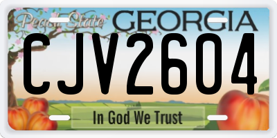 GA license plate CJV2604