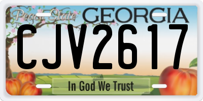 GA license plate CJV2617