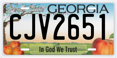 GA license plate CJV2651