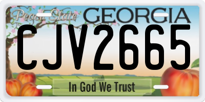 GA license plate CJV2665