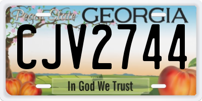 GA license plate CJV2744