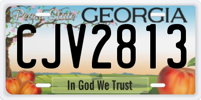 GA license plate CJV2813