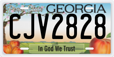 GA license plate CJV2828