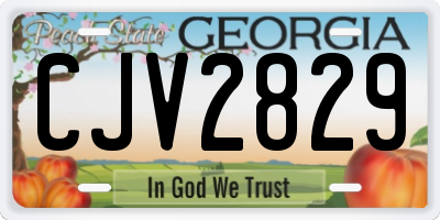 GA license plate CJV2829