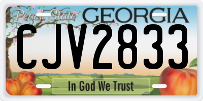 GA license plate CJV2833