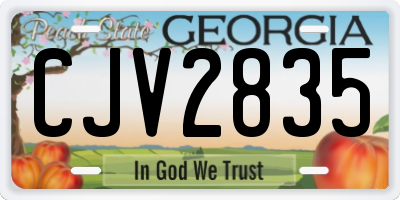 GA license plate CJV2835
