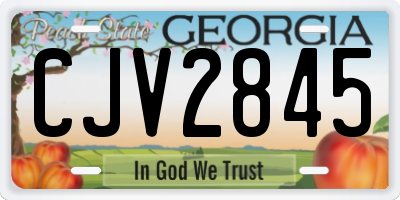 GA license plate CJV2845