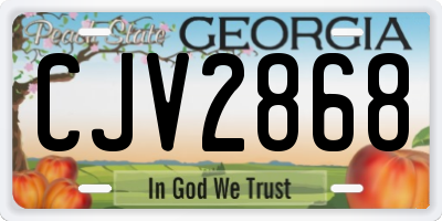 GA license plate CJV2868