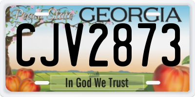 GA license plate CJV2873