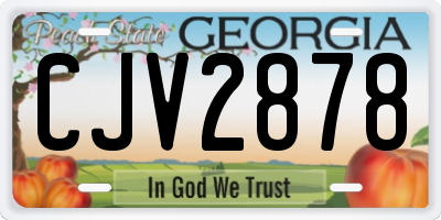 GA license plate CJV2878