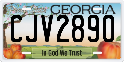 GA license plate CJV2890