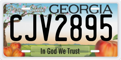 GA license plate CJV2895