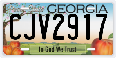 GA license plate CJV2917