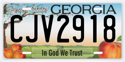 GA license plate CJV2918