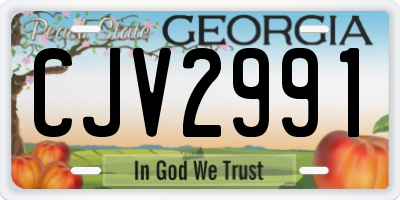 GA license plate CJV2991