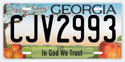 GA license plate CJV2993