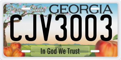 GA license plate CJV3003