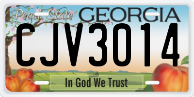GA license plate CJV3014