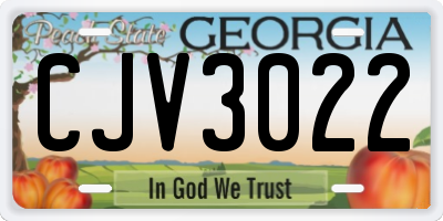 GA license plate CJV3022