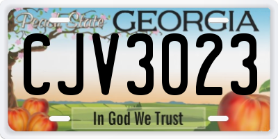 GA license plate CJV3023