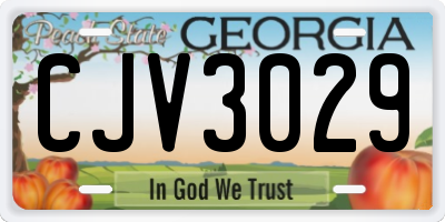 GA license plate CJV3029