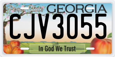 GA license plate CJV3055