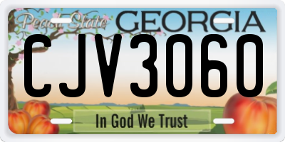 GA license plate CJV3060
