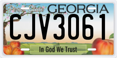 GA license plate CJV3061