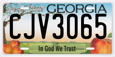 GA license plate CJV3065