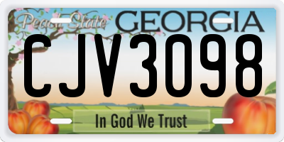 GA license plate CJV3098