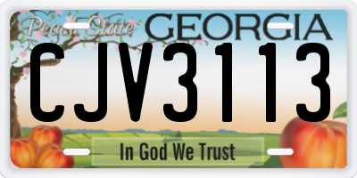 GA license plate CJV3113