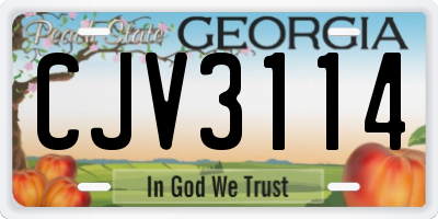 GA license plate CJV3114